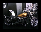 Custombike 2011 (39)